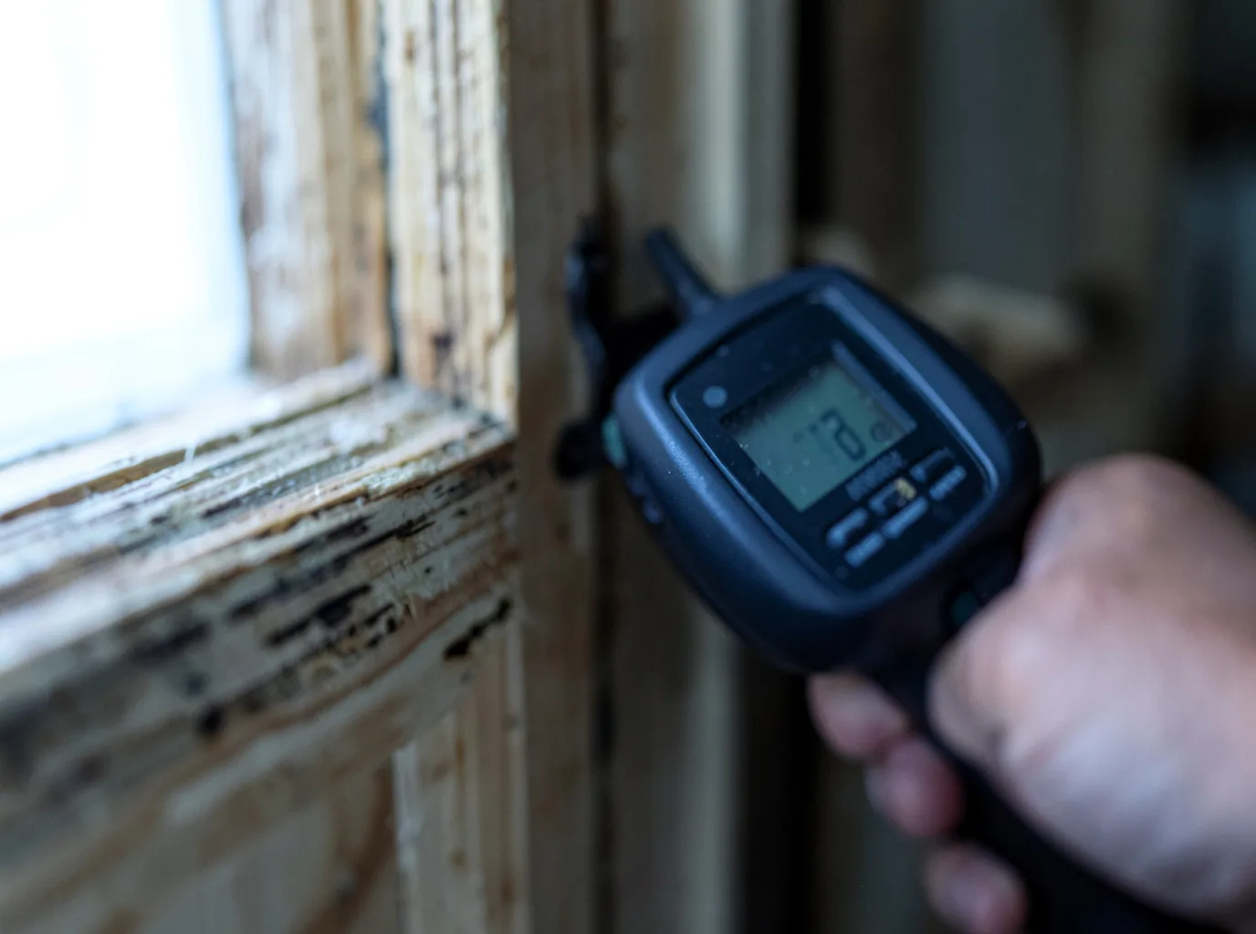 Moisture Inspection And Documentation in Boston, GA